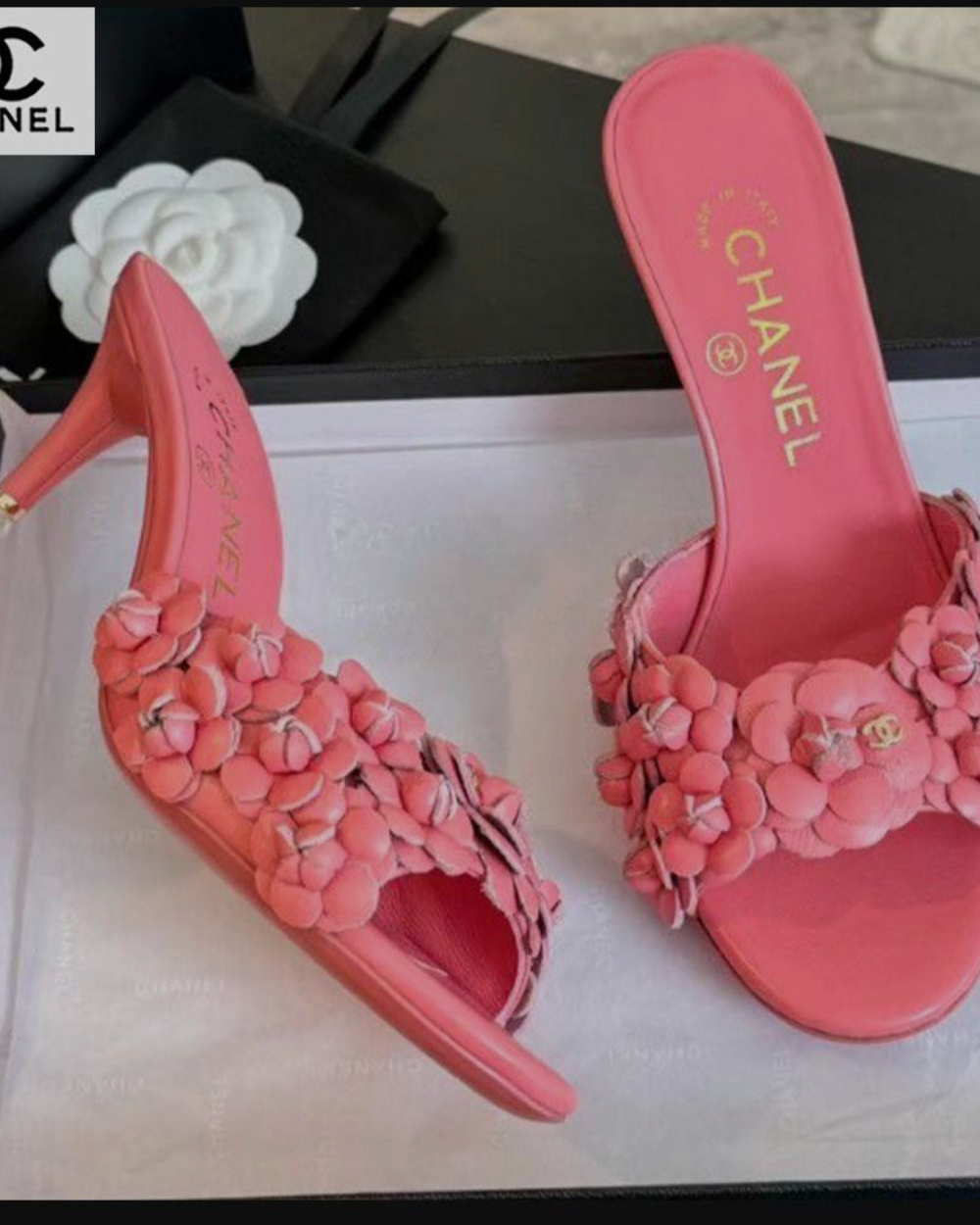 chanel-shoes-01 nailaspalette.com